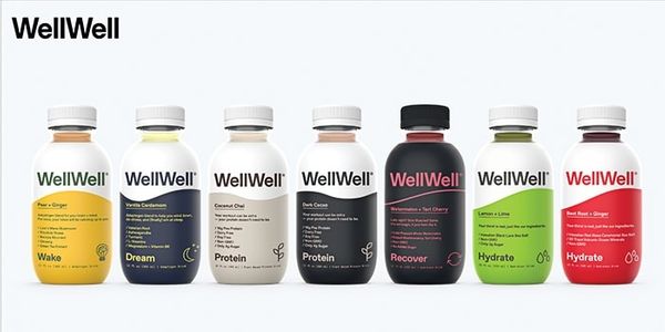 WellWell Deal Memo (Closing Date: 2021-04-03)
